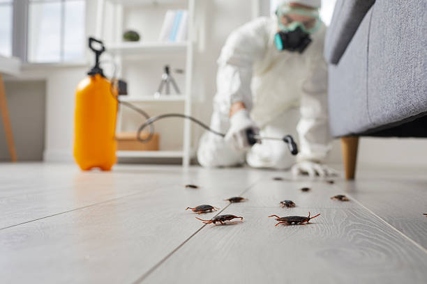 Trusted Bed Bug Control service in Folkston, GA - Nex Pest Control